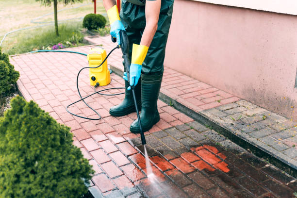 Best Pressure Washing Siding  in North Sarasota, FL